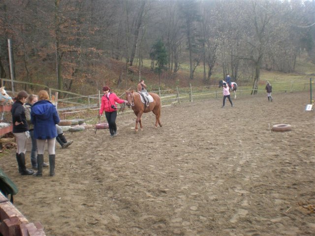 Hubertus 2010